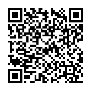 原本给人一种残缺感的缠绕在巨兽身上的那些绳网二维码生成
