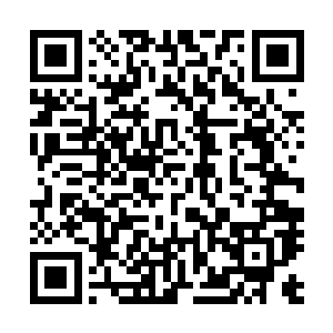 原本苏凡根本没有觉得这次来教廷的结盟之行会有什么麻烦二维码生成