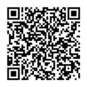 原本董刑疯狂自毁以血咒之罚封印住的自己和云清子的域似乎有了一丝裂痕二维码生成