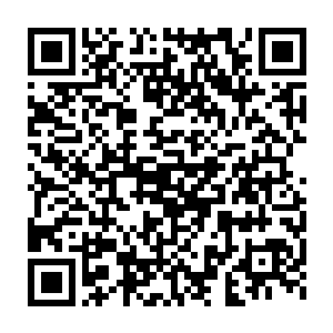 原本被安排在冬雨里继续攻坚的部分汉军部队就已经在机械地磨洋工二维码生成