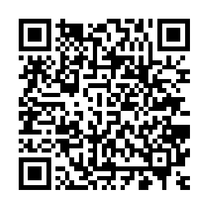 原本被揍得仿佛快要不行了的墨景黎居然又原地复活缠了上来二维码生成