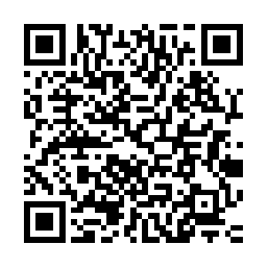 原本跟在叶莹身边和在黎王府中的几个定王府暗卫便已经撤走二维码生成