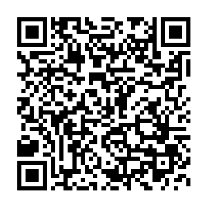 原本还在和暗卫以及护卫们在斗争的刺客都忽然改变了攻击的方向二维码生成