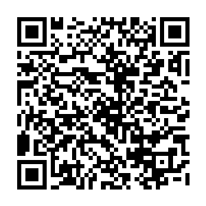 原本还带着几分不信心的修真者听到林灵的安慰以后一个个的瞬间打起了精神来二维码生成