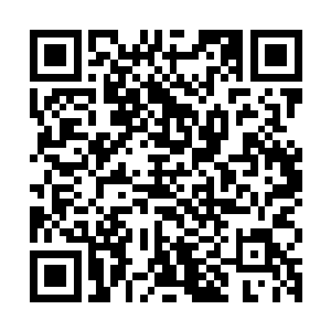 原本还带着几分蠢蠢欲动的白羽门弟子全部都开始朝着后面退着二维码生成
