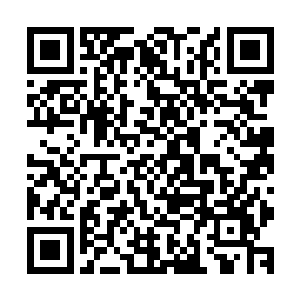 原本还支持狼极行教训韩风的焚灵玄狼一族弟子们彻底惊呆了二维码生成