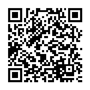 原本还无比恐怖的血sè的巨塔上面的气势陡然间下降了数个层次二维码生成