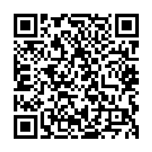 原本还有些蠢蠢欲动的那些神殿高手顿时一下子定格在了原地二维码生成
