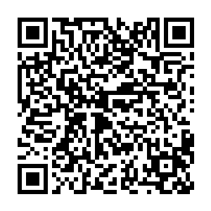 原本还有着不满苏凡闯进会议室的人此刻都是有着呆木的看着苏凡二维码生成