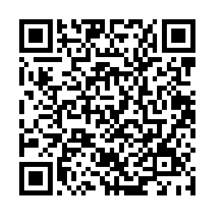原本还略激动的流墨墨在看到听到方十的第二次呼唤后二维码生成