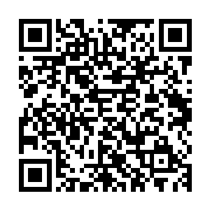 原本还着急担忧的流墨墨却是没有任何要出手把他捞上来的意图二维码生成
