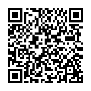 原本还自信满满满脸笑容的慕容家主将徐清尘久久的不作答二维码生成