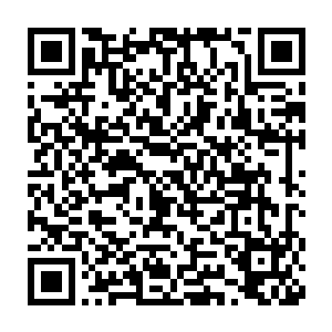 原本那些完全不知道凌菲在做什么的人才明白他们碰到了随行的祭司二维码生成