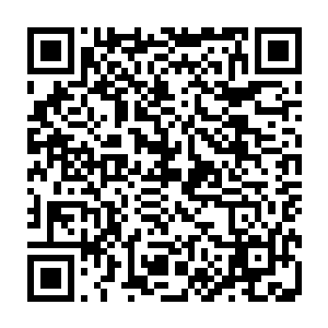 原本黑漆漆一片什么也看不到的青岩壁上凿开的洞穴里喷出数十道的火舌二维码生成