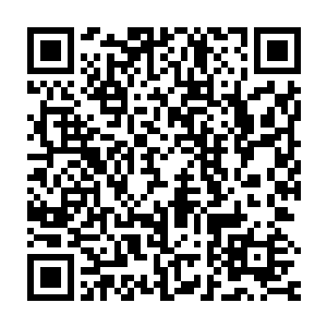 原本齐挺在最初得到淮北王不肯与他合作的消息后并没有立即撤兵二维码生成