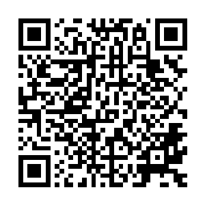 原来……是我害了他……我怎么这么蠢……是我害死了他……二维码生成