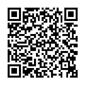 原来他们是害怕引来了其他已经失去神智的修士攻击他们二维码生成