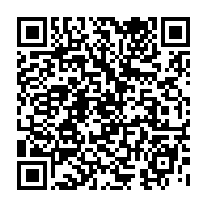 原来却是两只海龟得了夏云杰所传的上古龙宫龙王门下龟丞相修炼的玄龟法门二维码生成