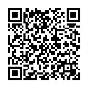 原来历史上著名的毙鹰事件是杨民杨和你们乐家一手导演的二维码生成