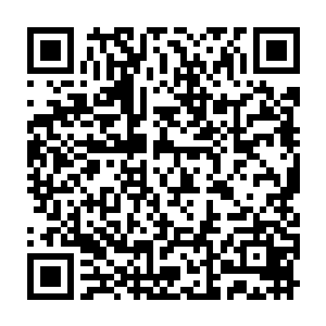 原来是这样……这次晏真是捞到宝了……我们落剑仙宗……是捡到了宝了……二维码生成