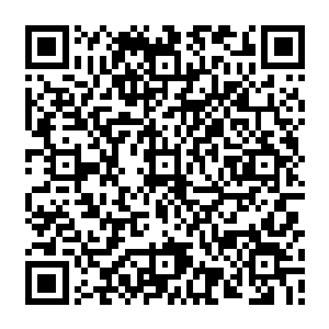 原来被丢在地上的已经被吓得软趴趴的人便是之前把殷暖和水奴丢在半路的苏家管事二维码生成