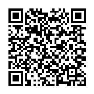 原来这北方修仙界和东方修仙界差的不是一丁半点儿啊二维码生成