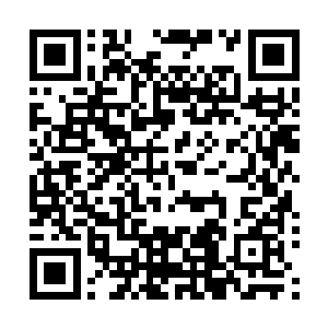 厨房冰箱里面塞的满满当当的全都是从诸葛家弄来的好吃的二维码生成