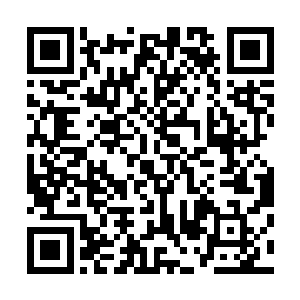 厨房里的丫鬟婆子总不至于为这点小事跑到你姨母面前嘀咕二维码生成
