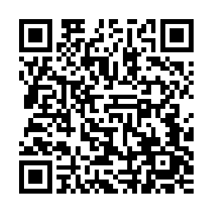 去年你们江南省的程辉钢铁集团总经理程茂辉带领五六个业务员二维码生成