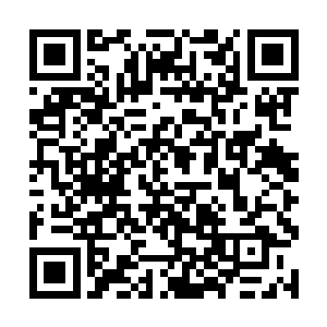 县委主要领导已经和一号公路建设之初完全不一样了二维码生成