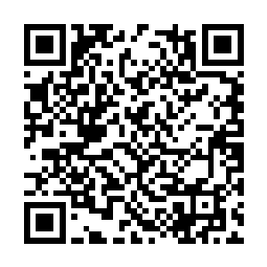 县委办主任常新这半年深得苗坤生书记器重和信任二维码生成