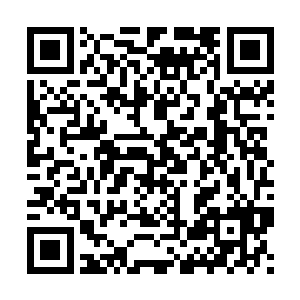 县政fu办公室主任卫建安在得到这个让他差一点晕过去的消息后二维码生成