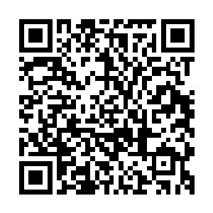 县教育局提交了凤巢中学和永济中心小学危房重建和改造计划二维码生成