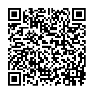 县长来迎接市领导和兄弟县市领导的明水县四大班子其他领导们轻松愉快地二维码生成