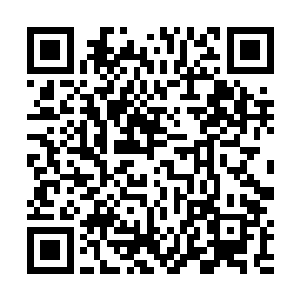 参加比赛的学生们则都在球场上以学校为单位排成几排二维码生成