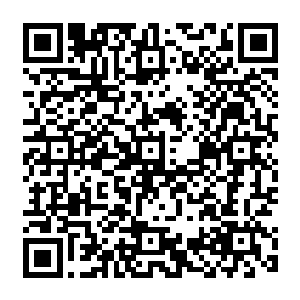 参展的宝物档次也是相当高的……这样的展览会肯定会吸引相当多的收藏爱好者前来参观的二维码生成