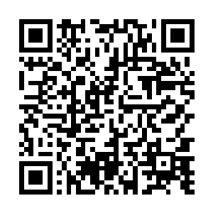 又不敢伸手去指绿浓背后不远处那张榻上躺在的谢姝宁二维码生成