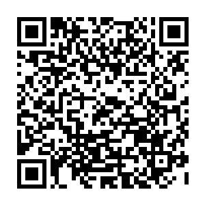 又亲眼看见你走进毒龙窟的……只要我到时候咬死了说你是死在毒龙窟里面的二维码生成