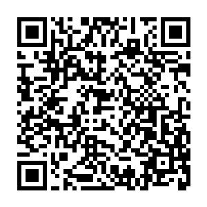 又从楠迪从小型飞机飞到瓦努阿岛的萨武萨武住进了著名的娜玛蕾渡假村二维码生成