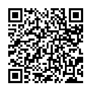 又从死到生的走了一遭……这是任何人都没有经历过的待遇二维码生成