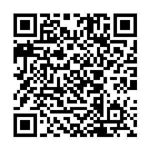 又先期推动了发展洼崮区三乡一镇的中药材种植基地二维码生成