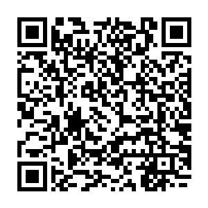 又击杀了近半了魔门高手……最后更是实战了秦家血武秘录中最为可怕的禁术二维码生成