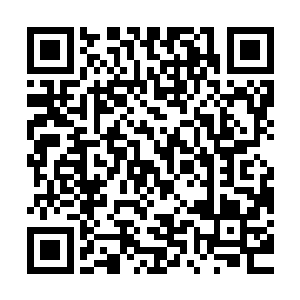 又加上杨晨此刻使用强大的力量反弹以及高明的身法在虚空而来二维码生成