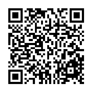 又发现大部分的珍贵草药和珍稀矿石都已经被采摘和挖走了二维码生成