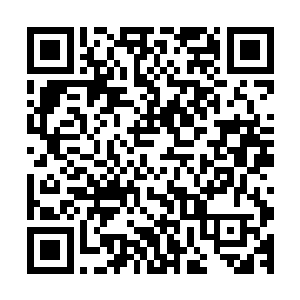 又嘲讽的看了一眼内室里紧张的等着老大夫诊治结果的四姨娘二维码生成