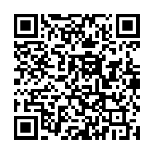 又因为那些怨恨而把之前坚定下来的决定再次动摇着二维码生成