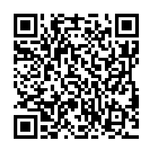又在花城地下赌庄财神赌场把自己的双手双脚给押了上去――二维码生成