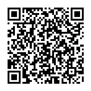 又如何懂得一头能杀死同样已经结成了血晶蛮兽的独角蛮彪是多么恐怖的存在二维码生成