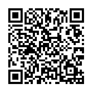 又将大魔主的每一次攻击力量都分化为五百多份引导开去二维码生成