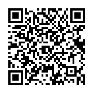 又尽全力保护自己的生命安全……他要活着从这里离开二维码生成